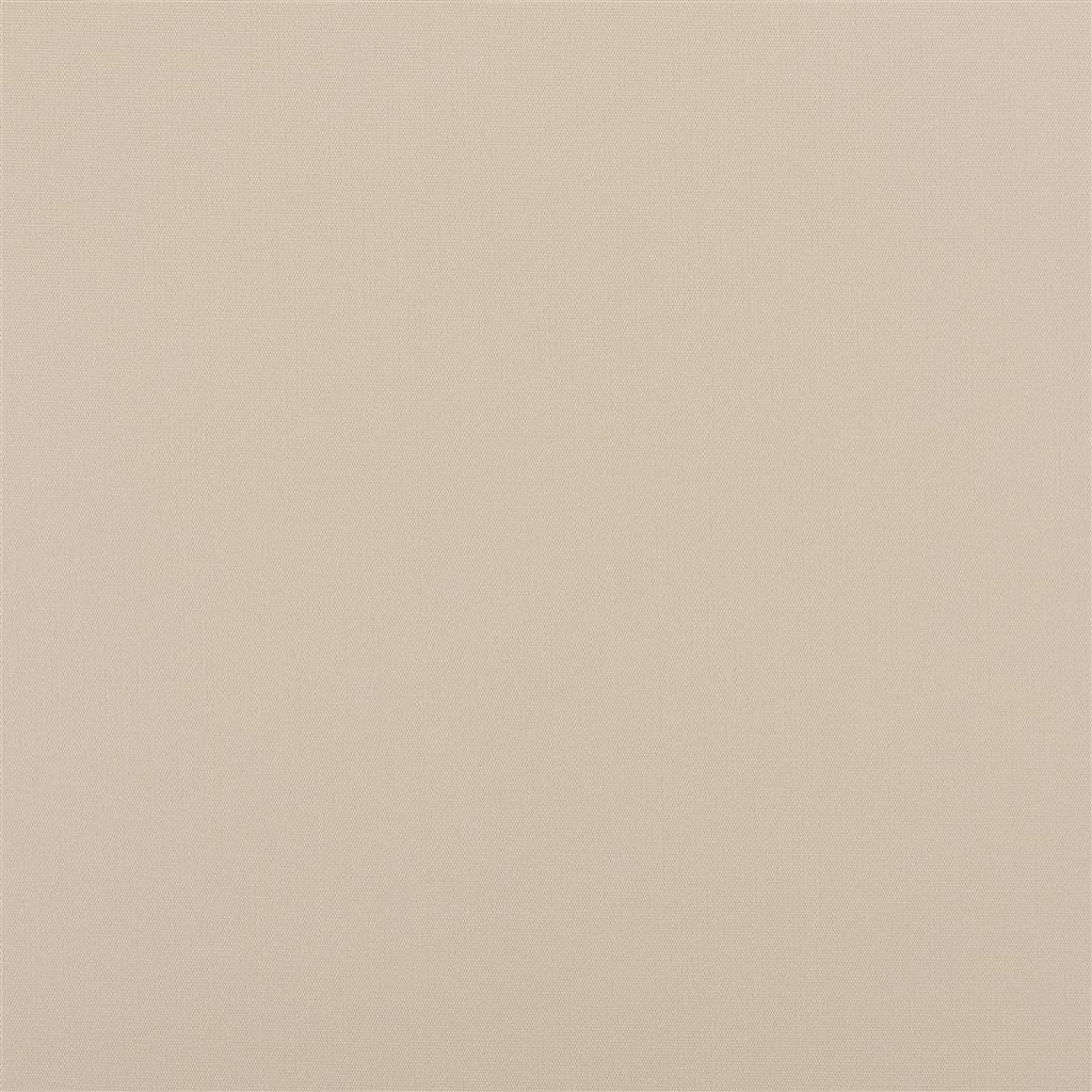 Coastal Plain - Ecru