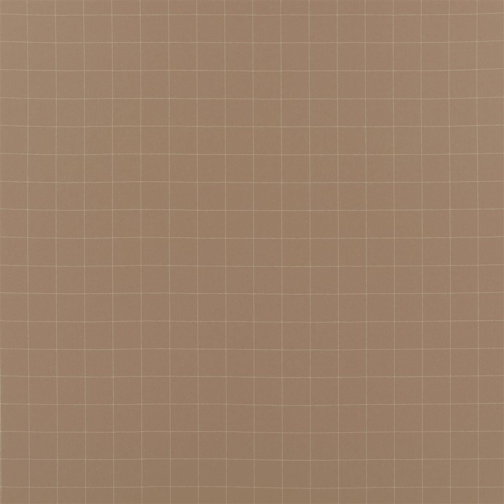 Eamon Tattersall - Camel