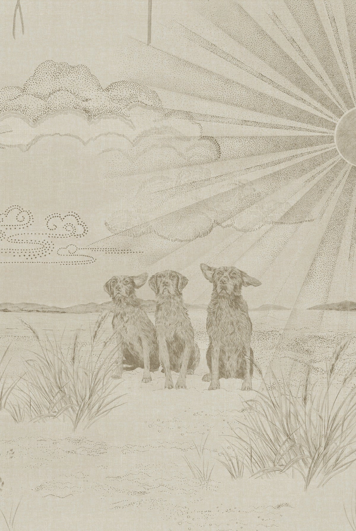Tapete DOG TALES Ägyptische Baumwolle
