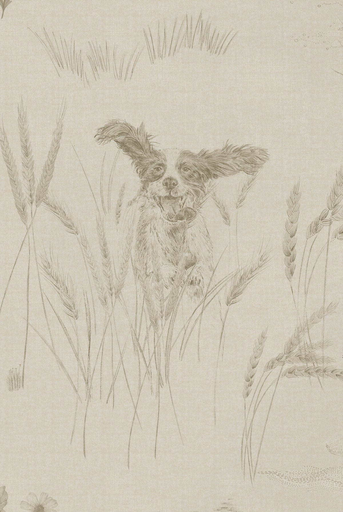 Tapete DOG TALES Ägyptische Baumwolle