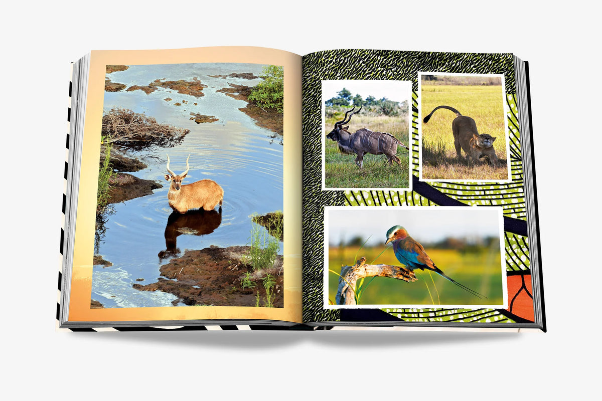 Livre African Adventures: The Greatest Safari On Earth