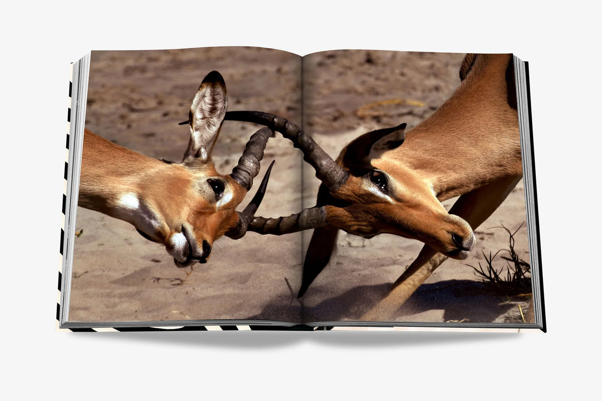 Livre African Adventures: The Greatest Safari On Earth