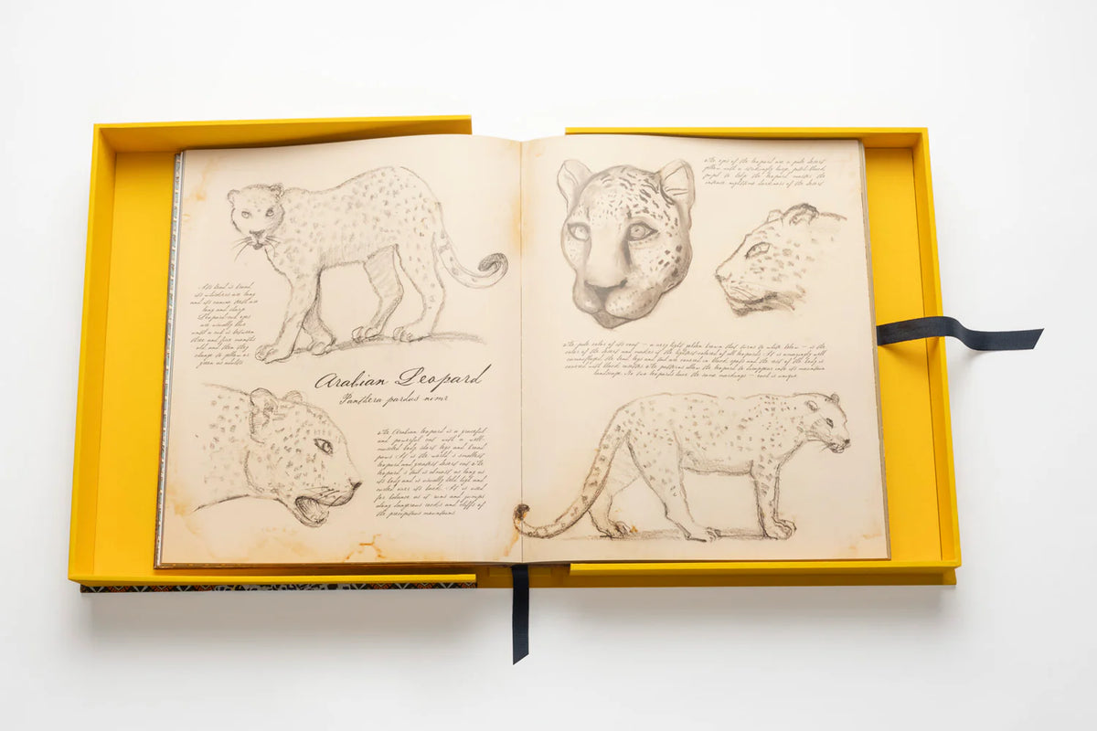 Libro Arabian Leopard: Impossible Collection