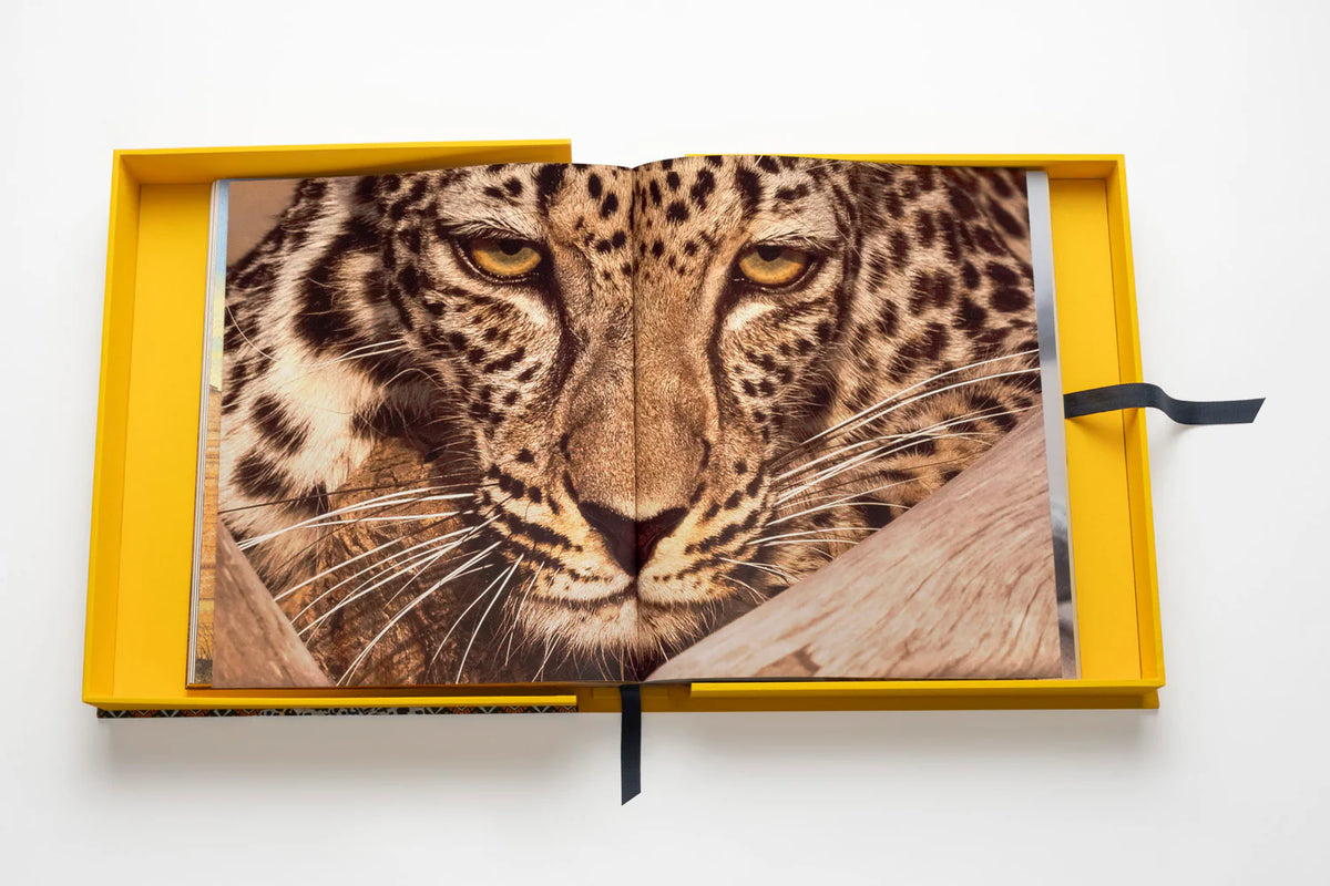 Libro Arabian Leopard: Impossible Collection