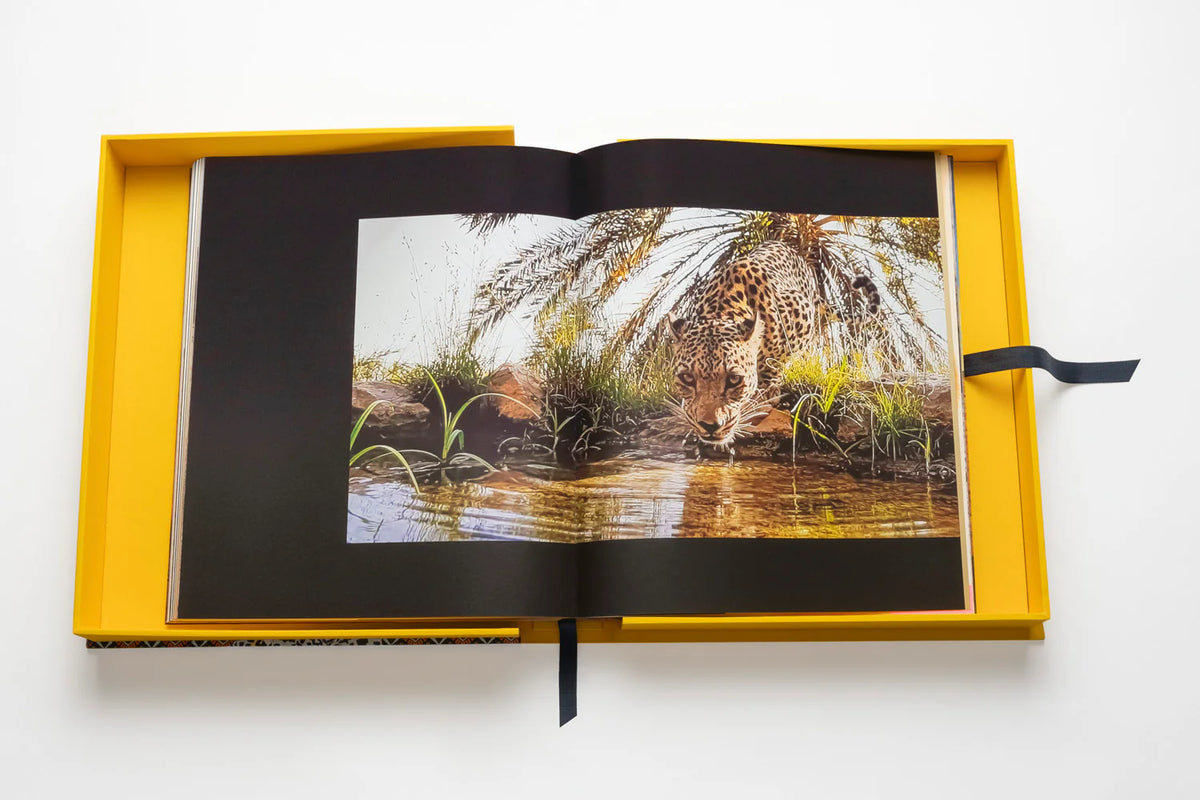 Libro Arabian Leopard: Impossible Collection