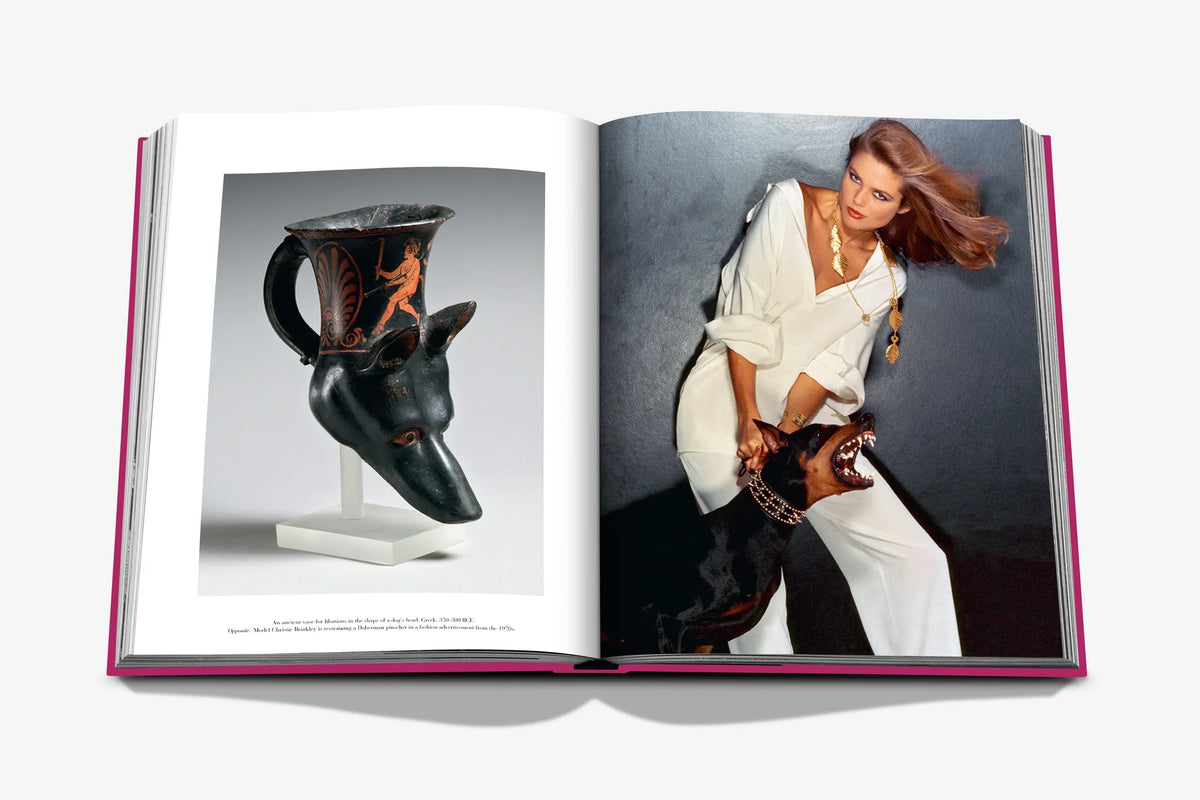 Libro Chic Dogs