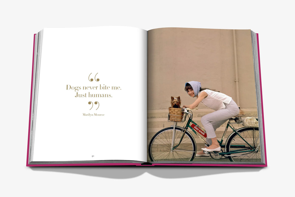 Libro Chic Dogs