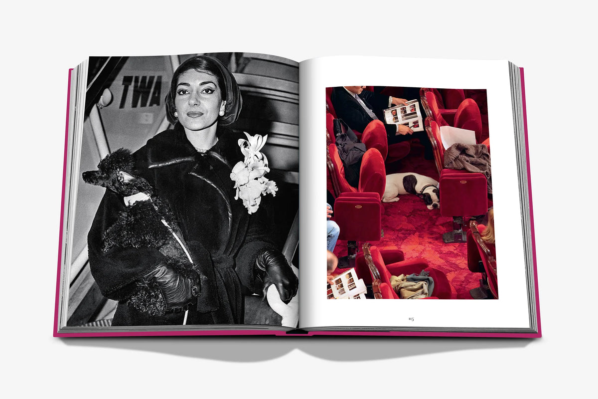 Libro Chic Dogs