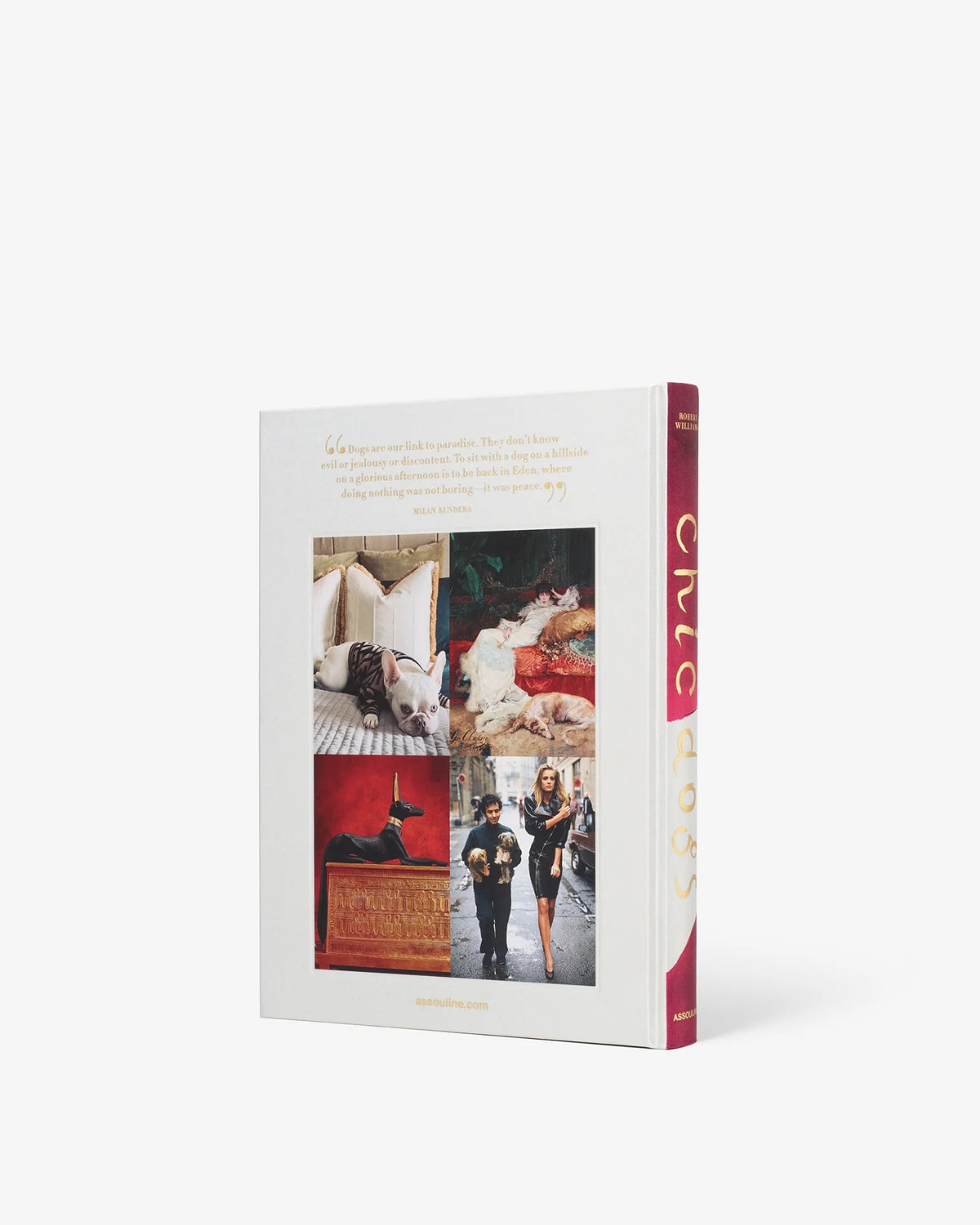 Libro Chic Dogs
