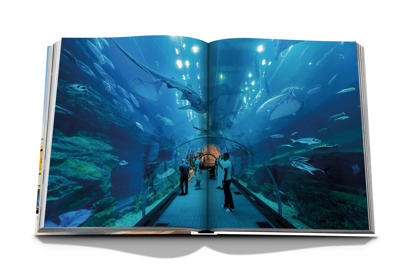 Book Dubai Mall: A Mall Like No Other