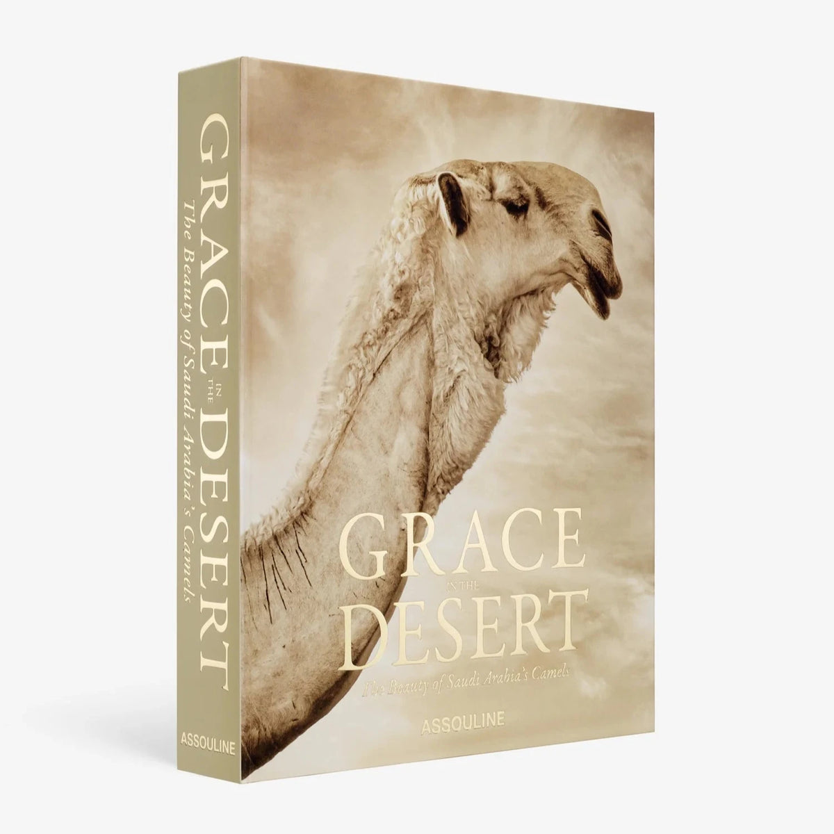 Libro Grace in the Desert: La belleza de los camellos de Arabia Saudí