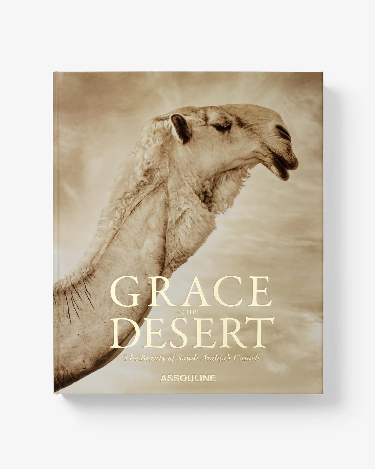 Libro Grace in the Desert: La belleza de los camellos de Arabia Saudí