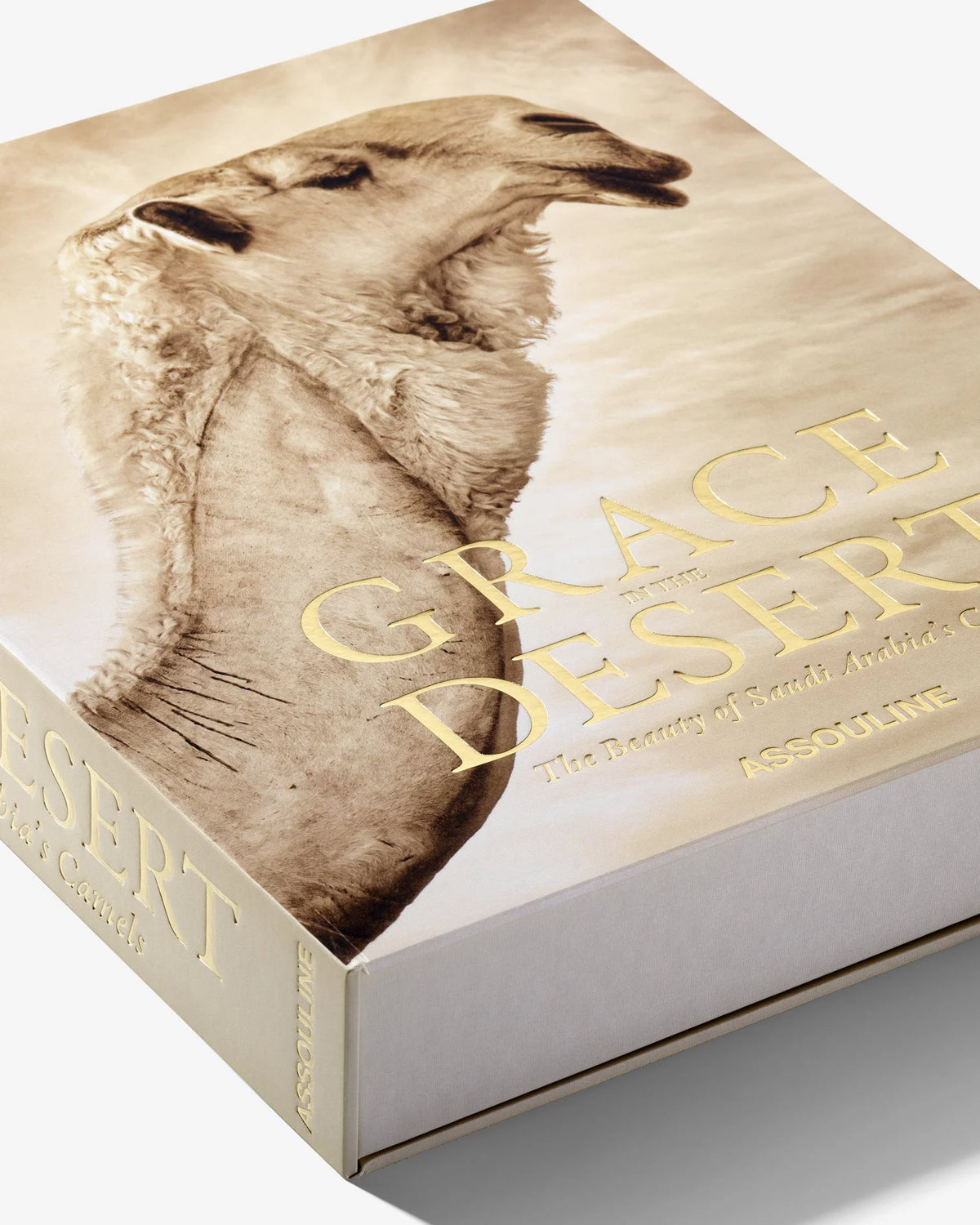 Libro Grace in the Desert: La belleza de los camellos de Arabia Saudí