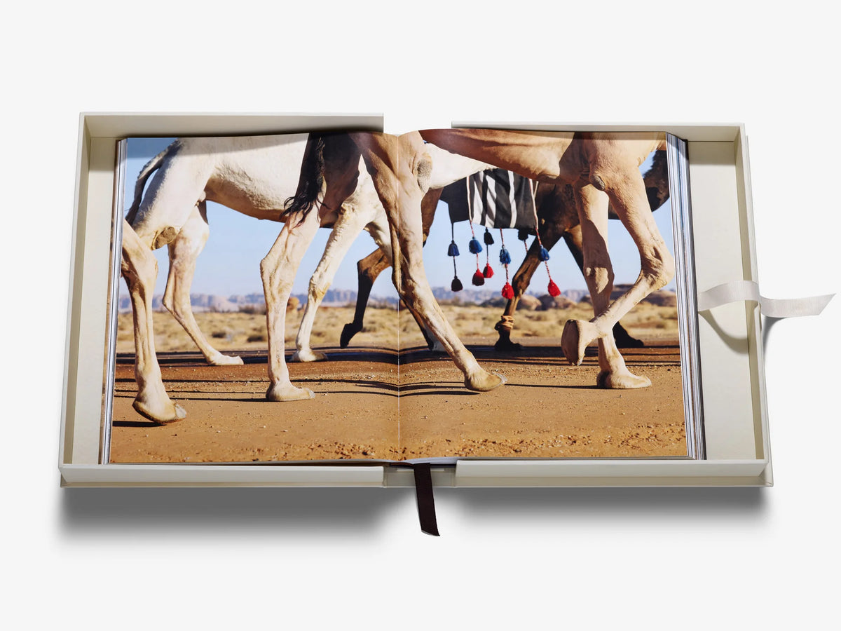 Libro Grace in the Desert: La belleza de los camellos de Arabia Saudí