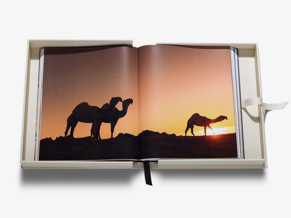 Libro Grace in the Desert: La belleza de los camellos de Arabia Saudí