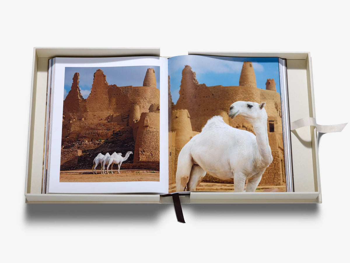 Libro Grace in the Desert: La belleza de los camellos de Arabia Saudí