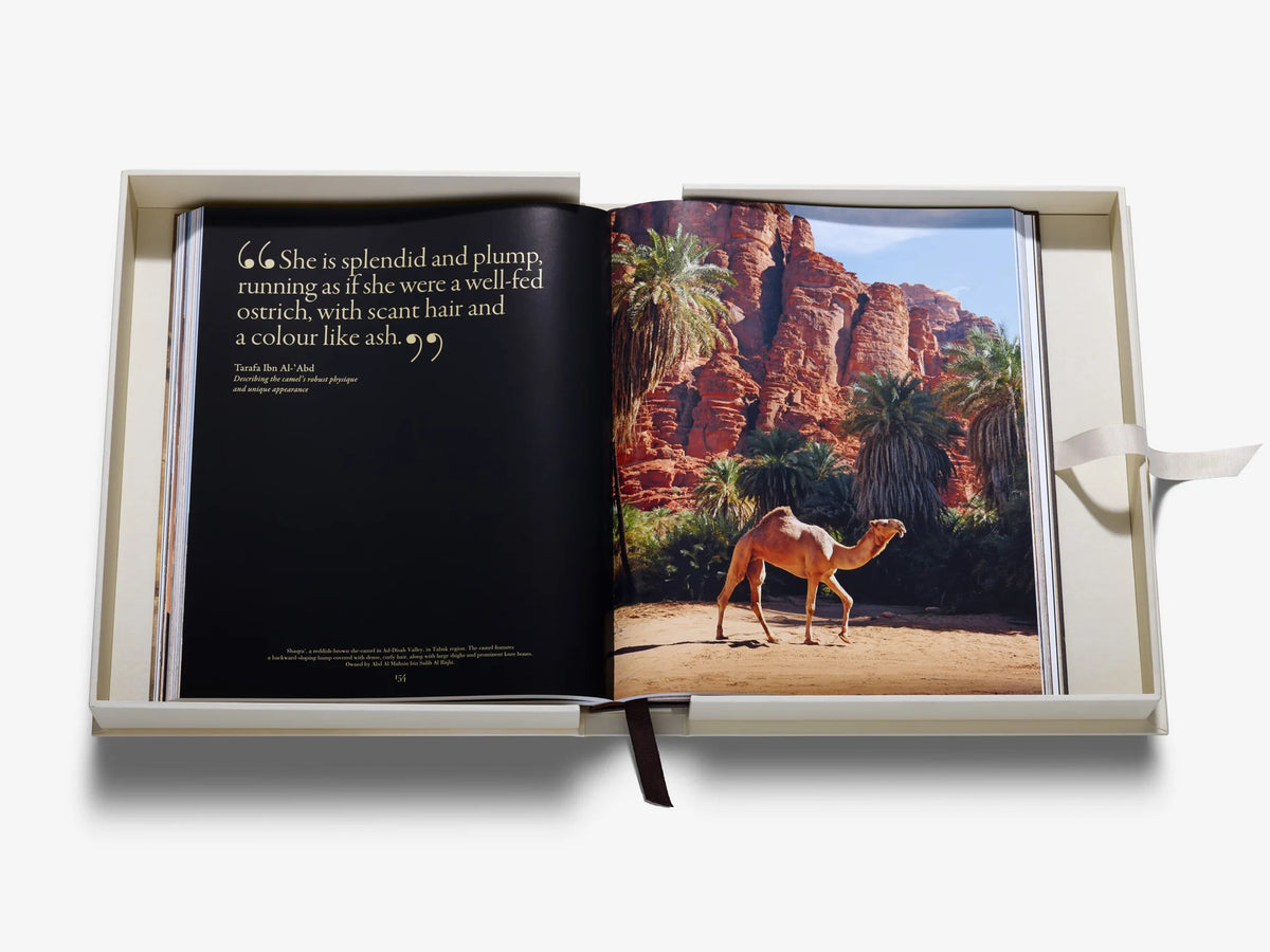 Libro Grace in the Desert: La belleza de los camellos de Arabia Saudí