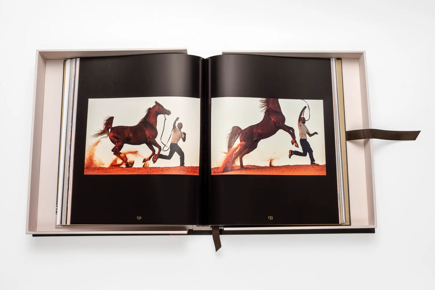 Buchen Sie Pferde aus Saudi-Arabien