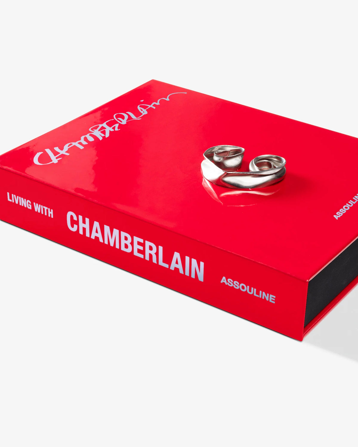 Buch Living with Chamberlain, Art in Residence (Sonderausgabe)