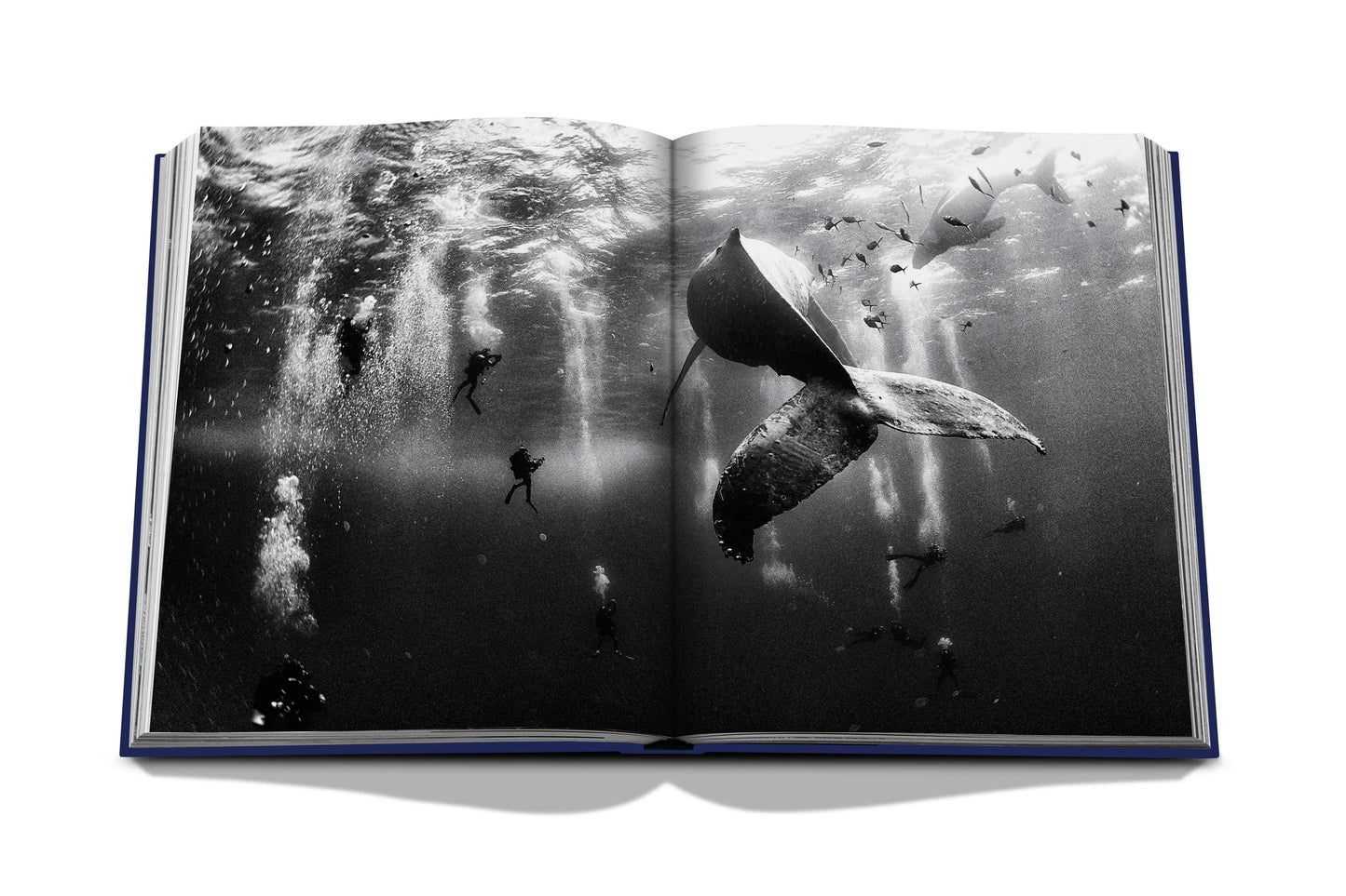 Livre Ocean Wanderlust