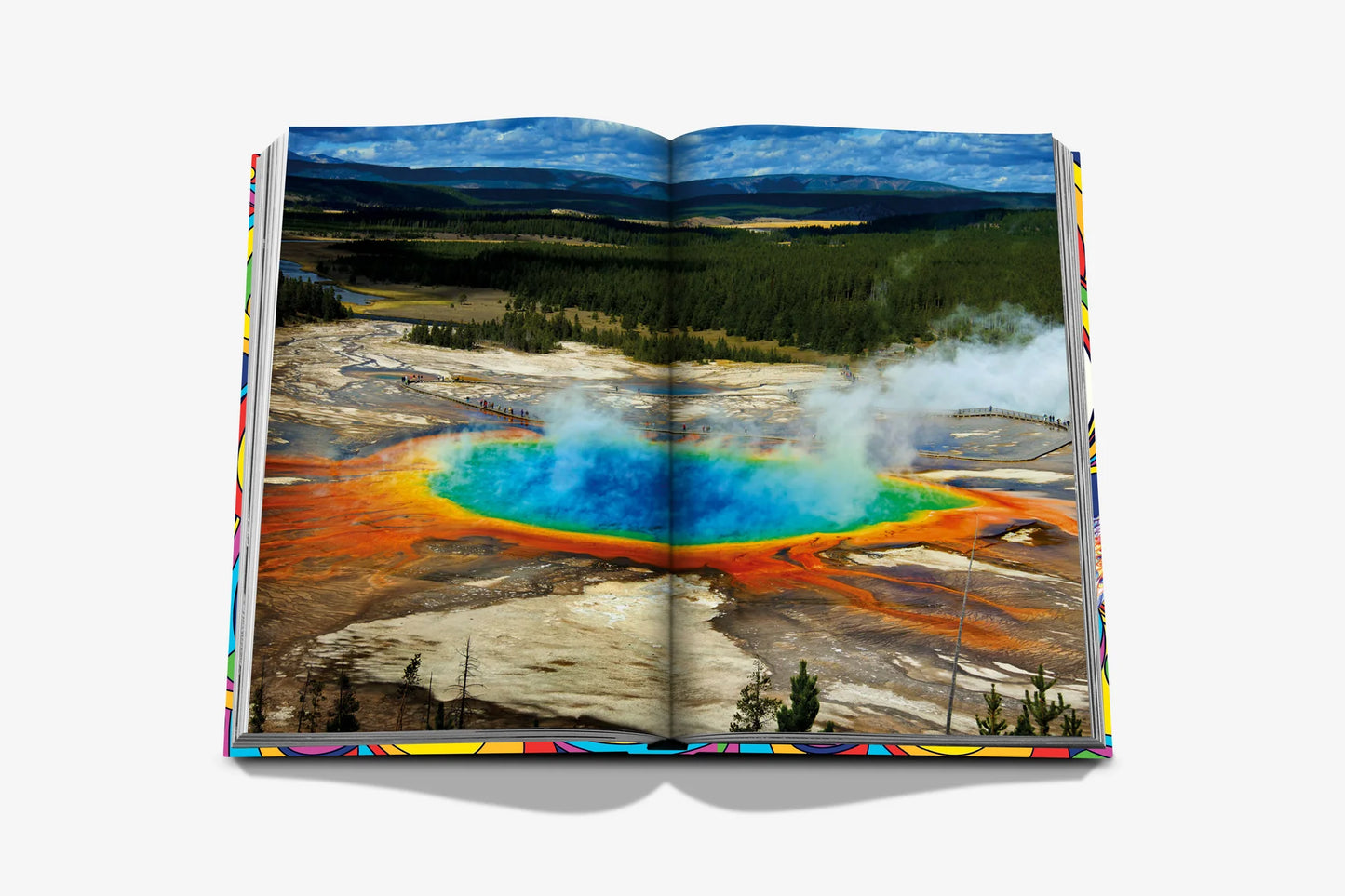 Livre Psychedelic Now