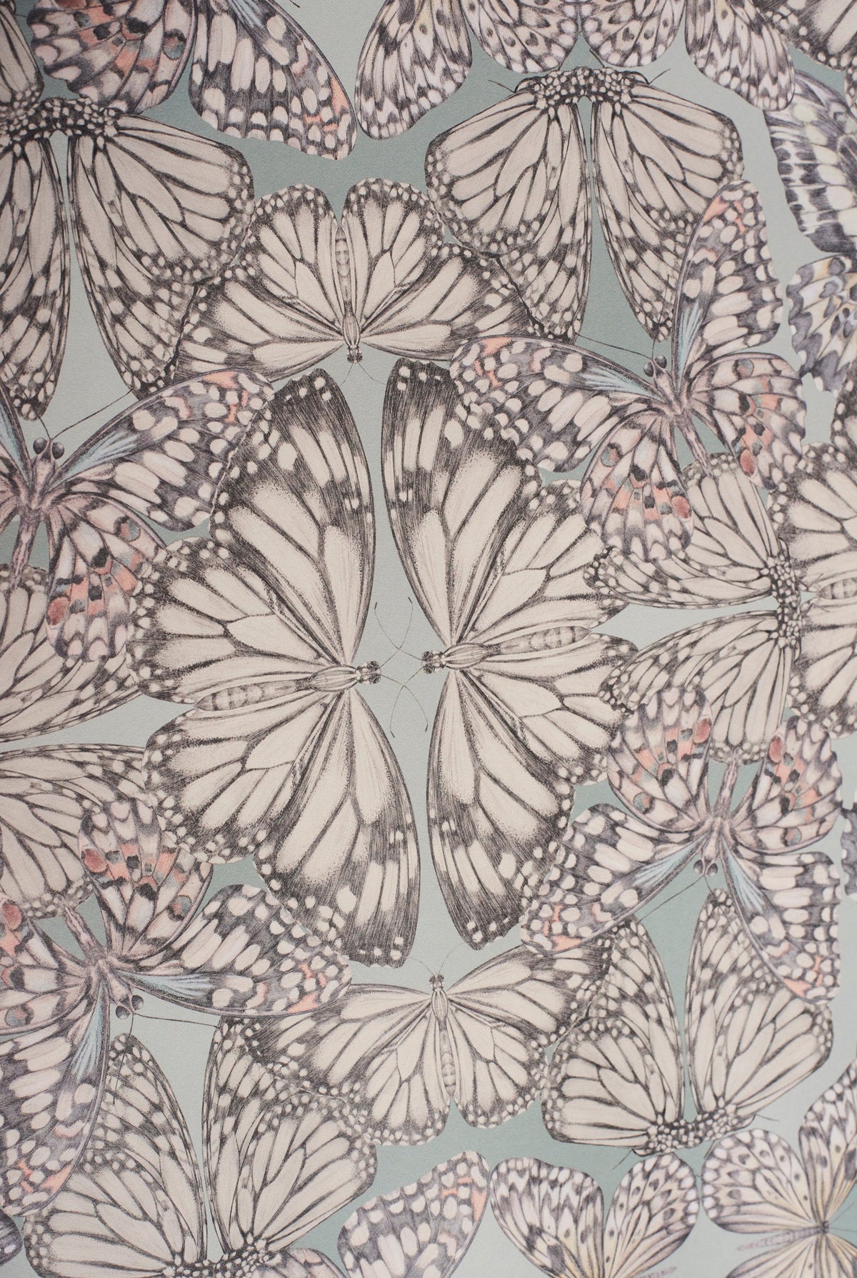 Papel Pintado PAPILIO Verde Nilo