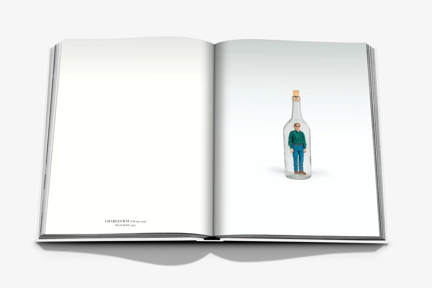 Livre Self Portraits : From 1800 to the Present