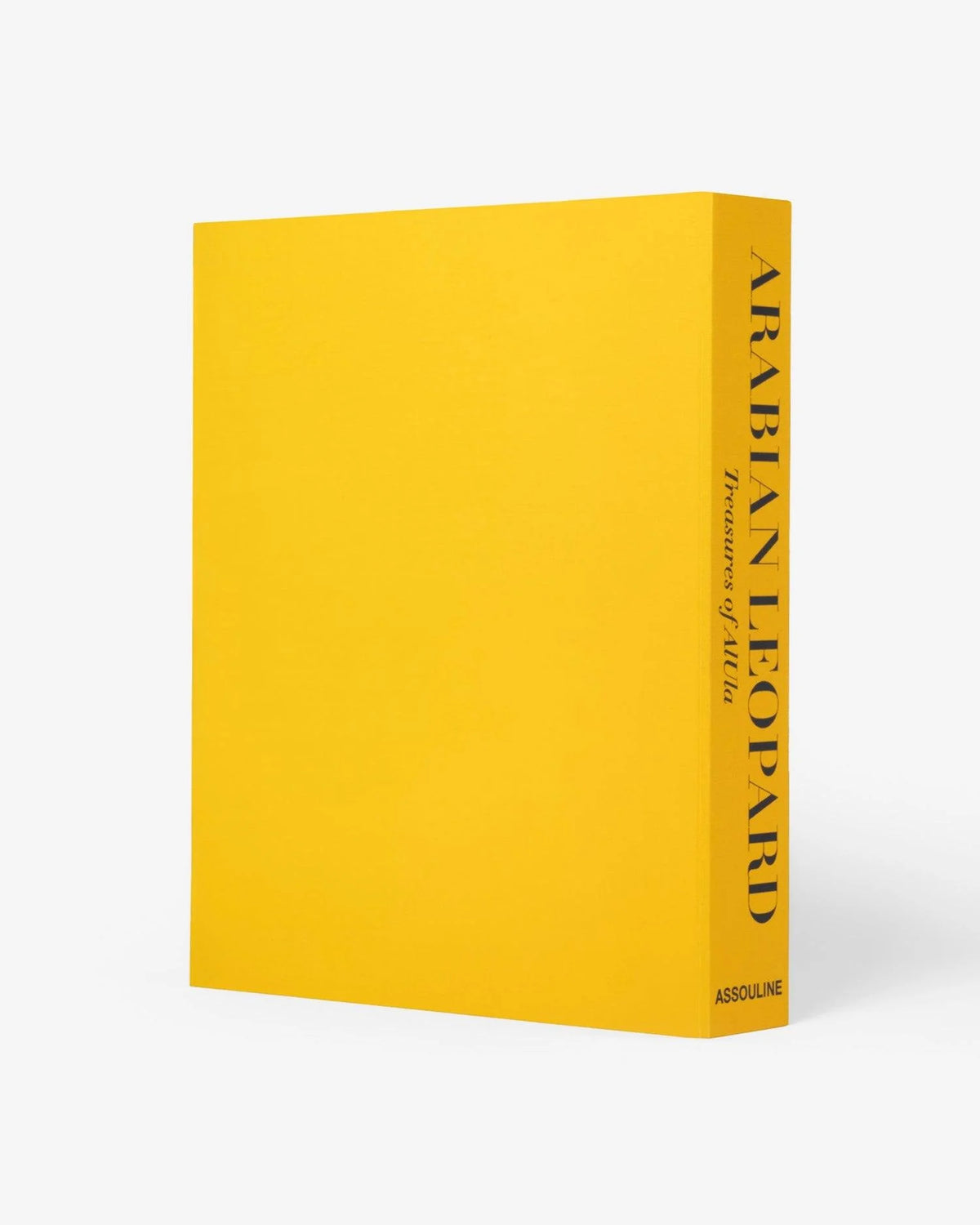 Libro Arabian Leopard: Impossible Collection