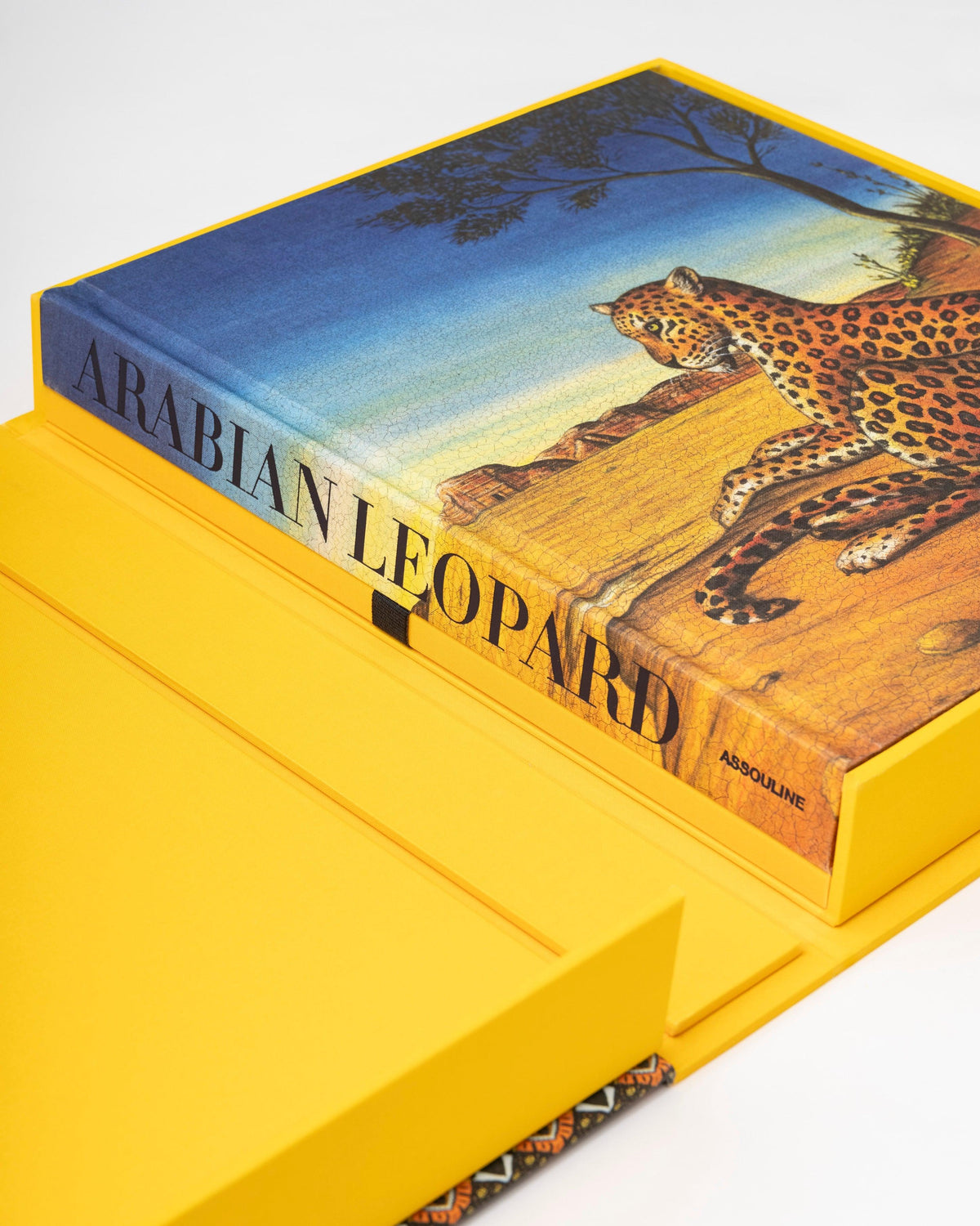 Libro Arabian Leopard: Impossible Collection
