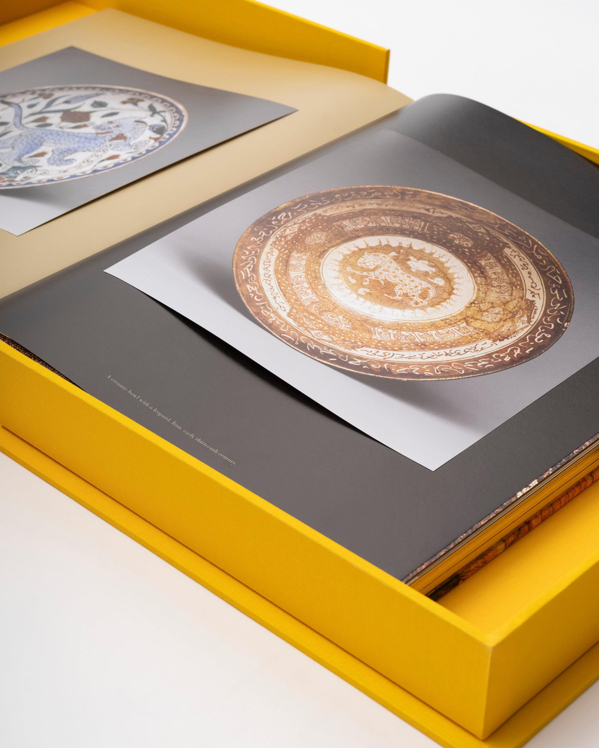 Libro Arabian Leopard: Impossible Collection