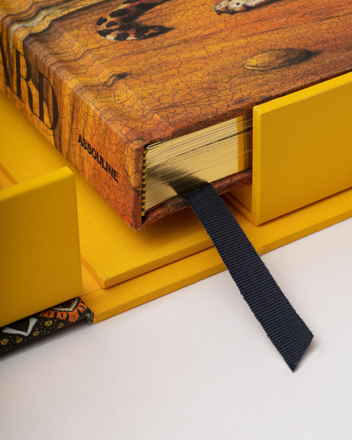 Libro Arabian Leopard: Impossible Collection