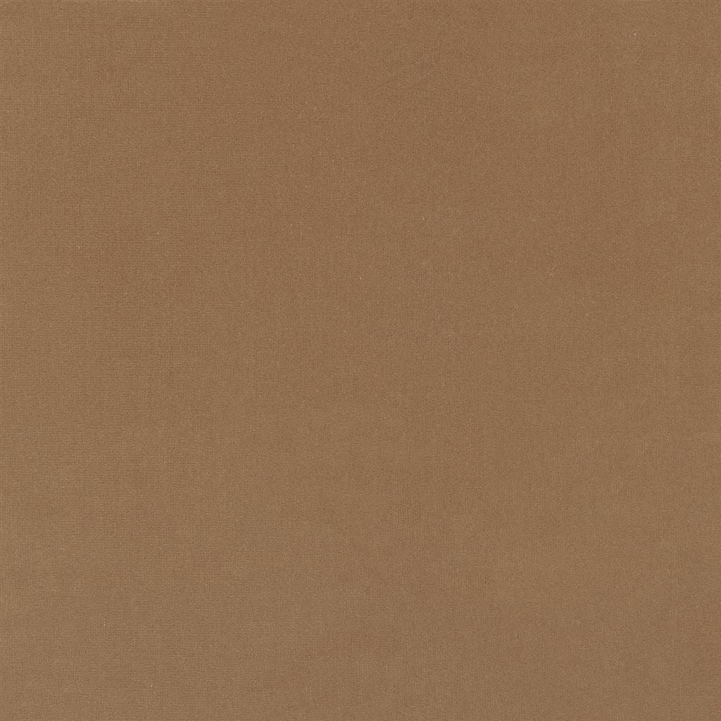 English Riding Velvet - Camel