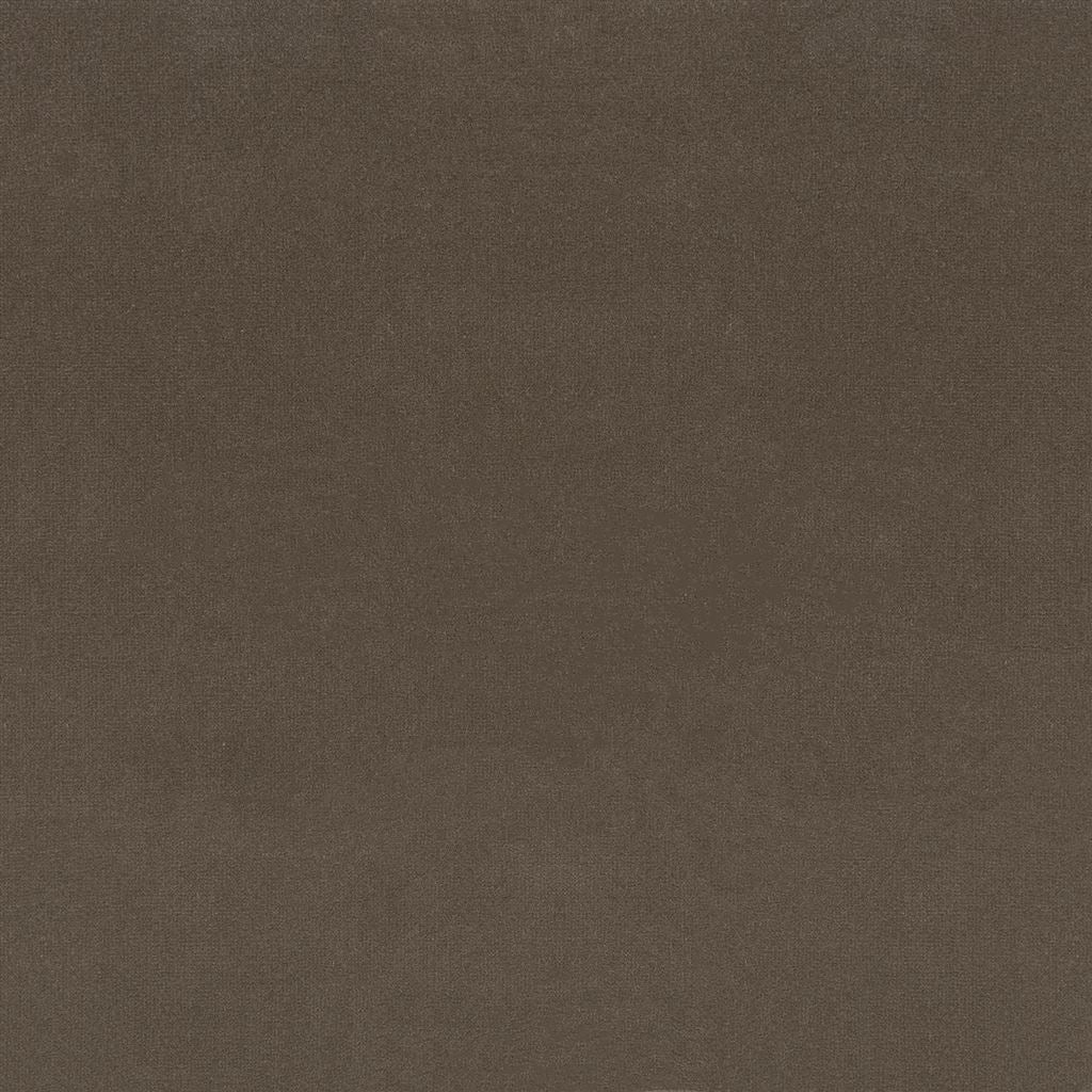 English Riding Velvet - Cocoa