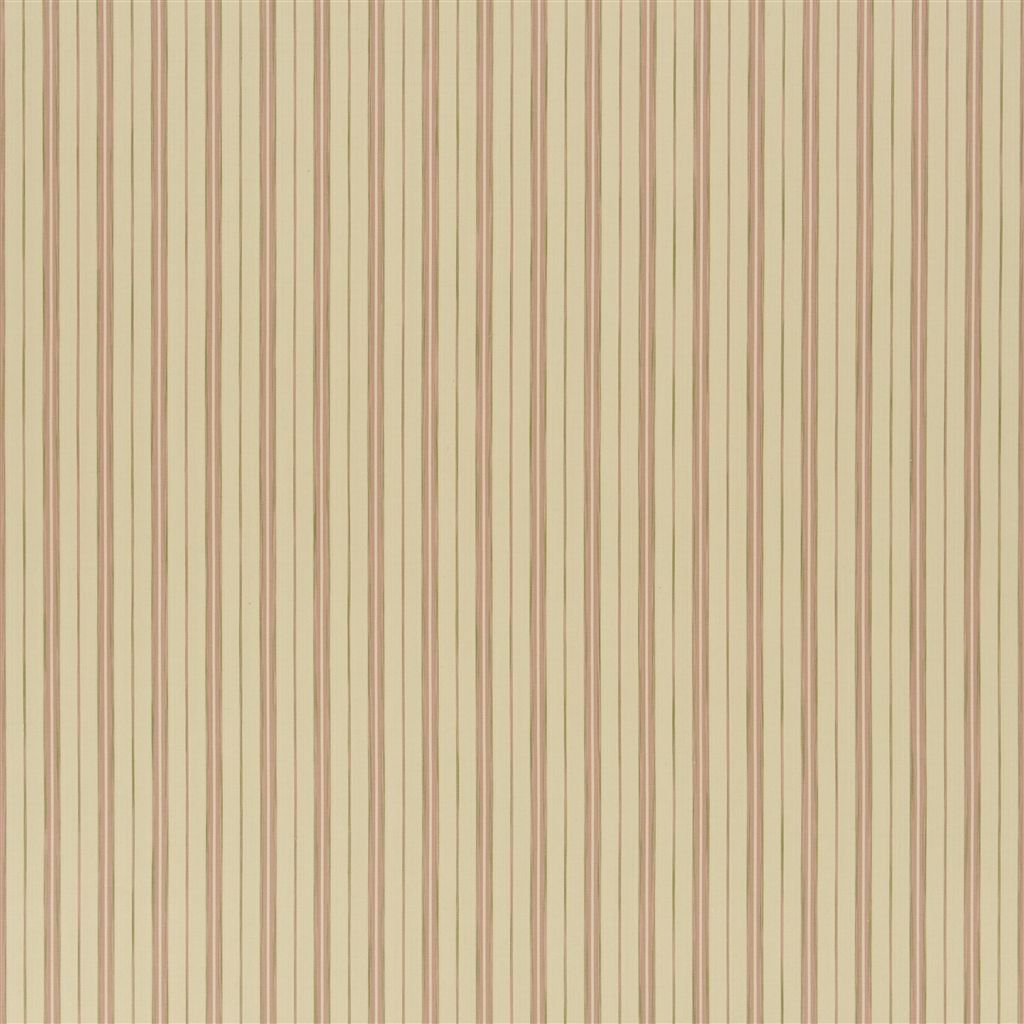 Cedar Point Stripe(f) - Shell