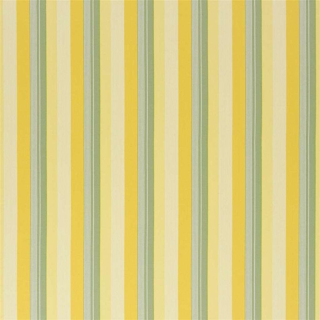 Greenport Stripe (pm)- Yellow/green