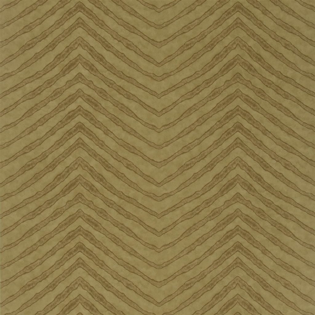 Burchell Zebra - Chamois