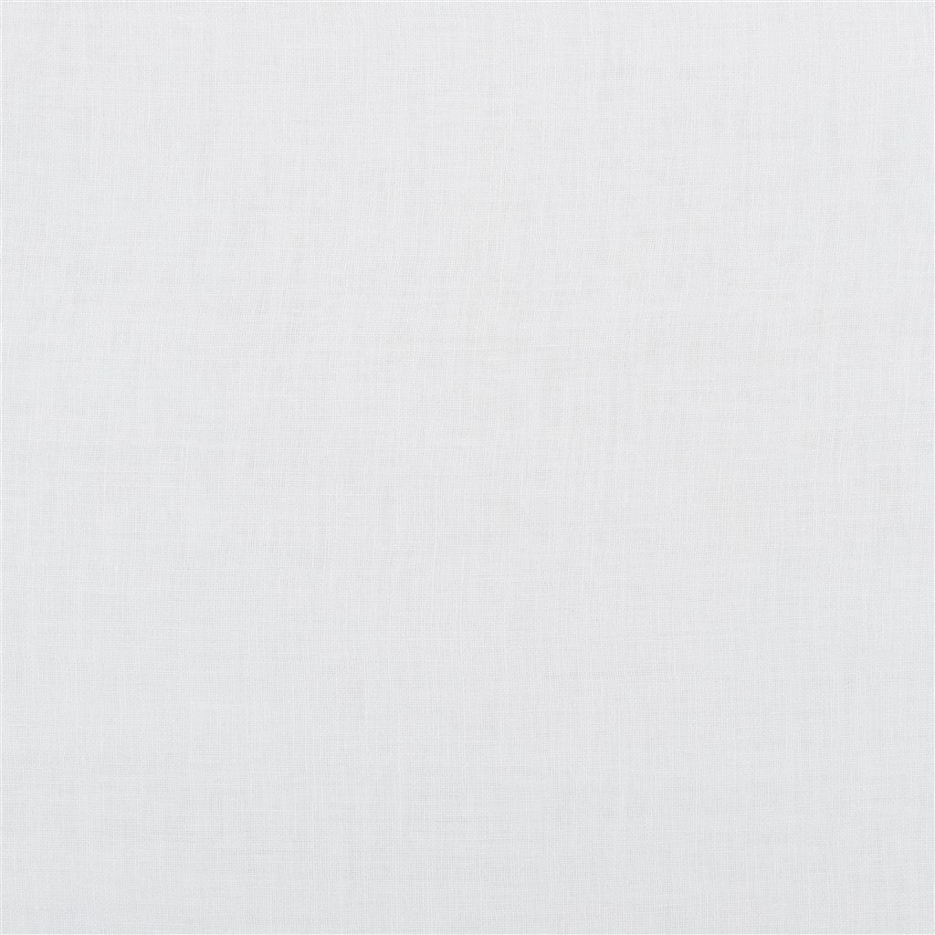 Pomponio Sheer - Oyster