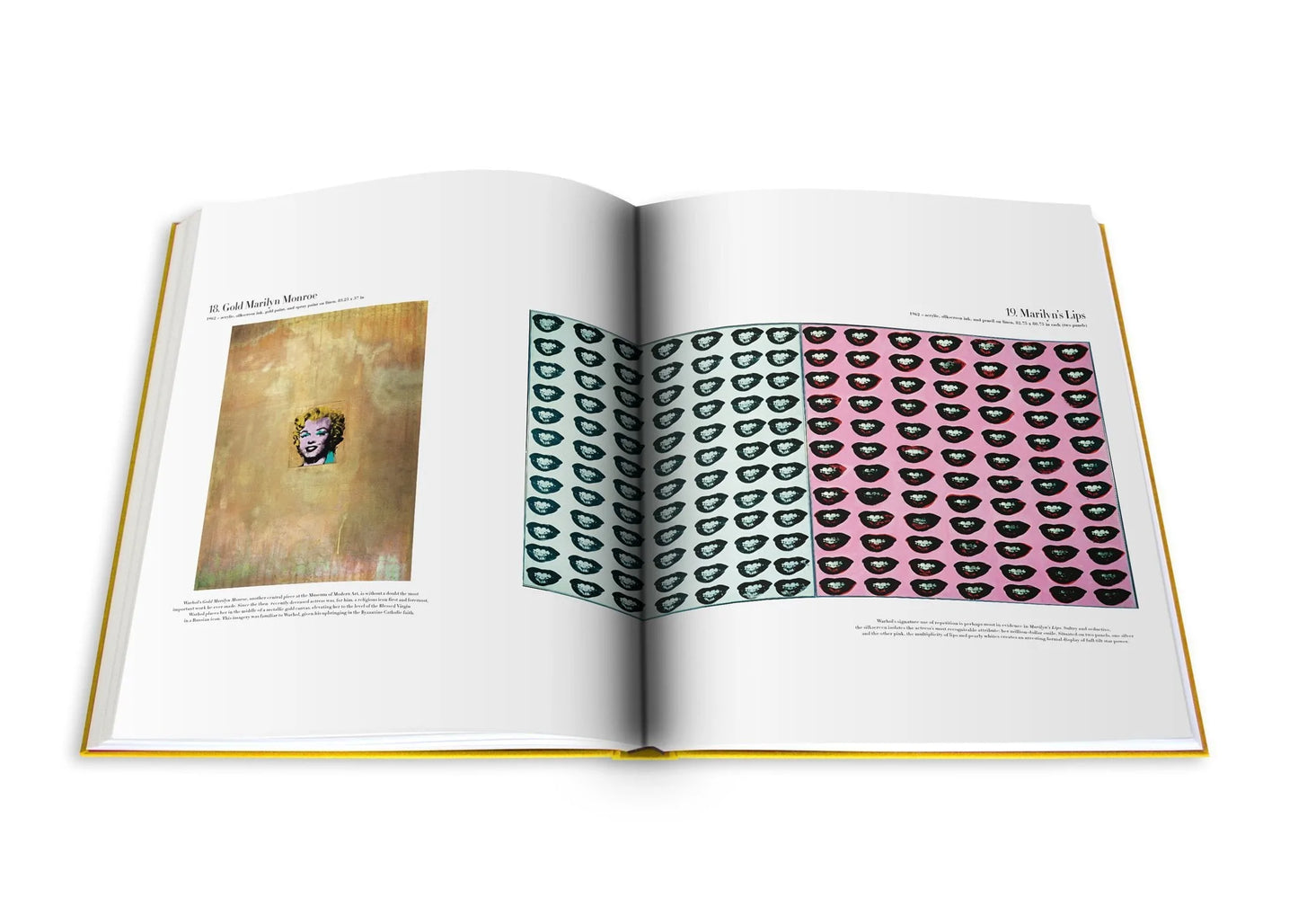Livre Andy Warhol: Impossible Collection
