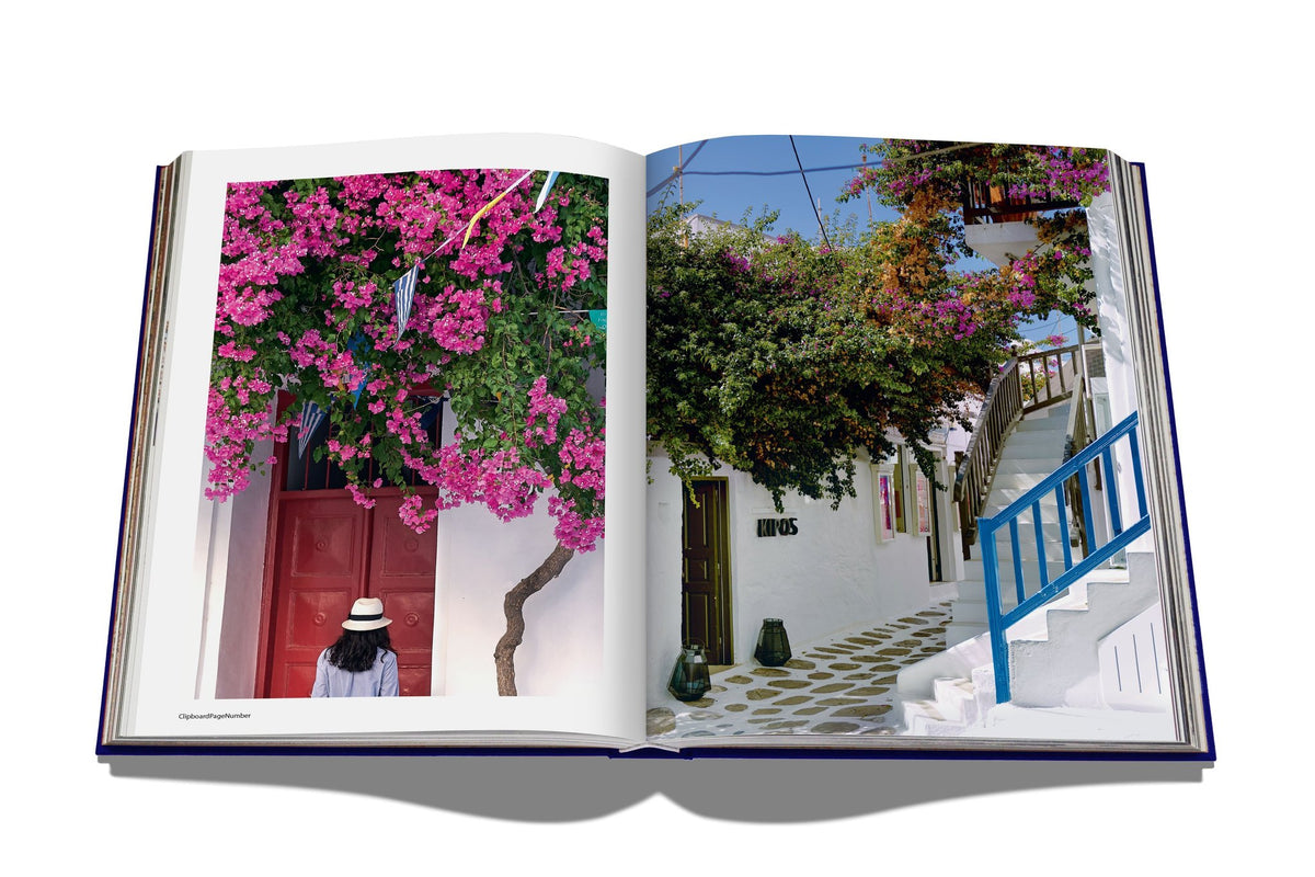 Libro Mykonos Muse
