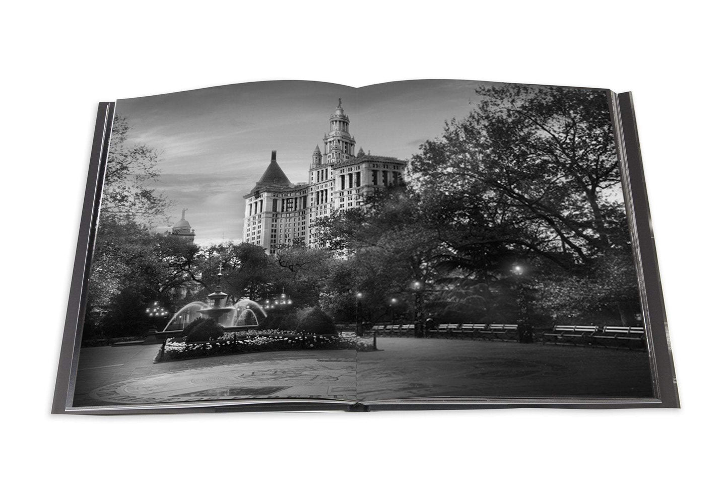 Buchen Sie „Das Licht von New York“.