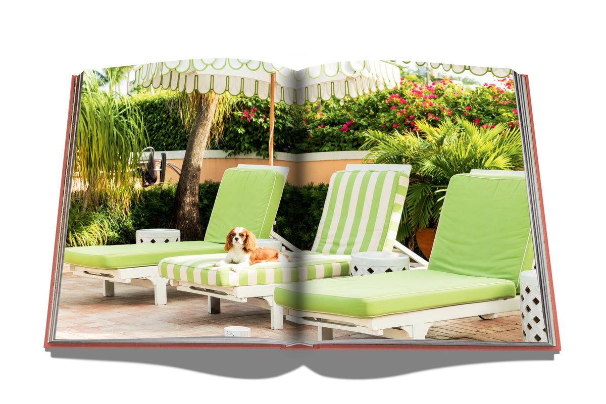 Libro Palm Beach
