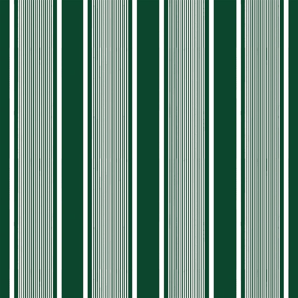 Super Yacht Stripe - Green