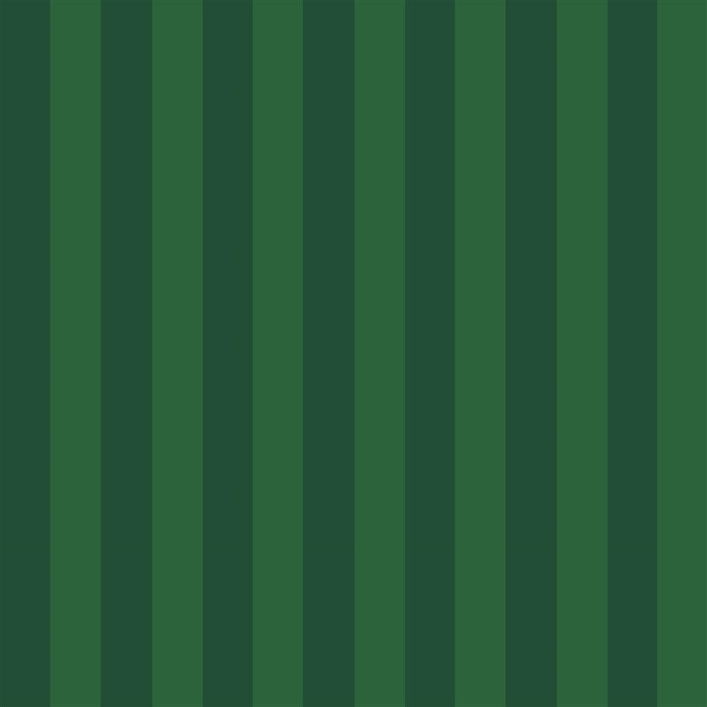 Courtside Stripe - Green