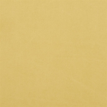 Canvas - Sand