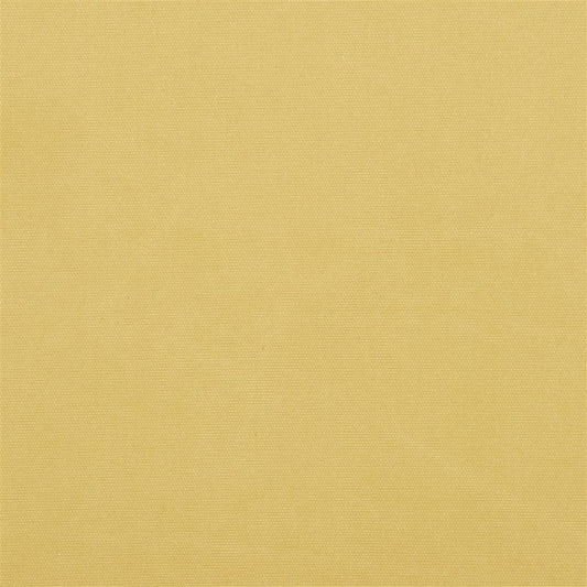 Canvas - Sand
