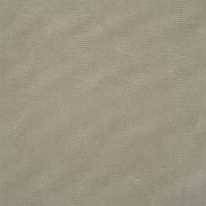 Canvas - Taupe