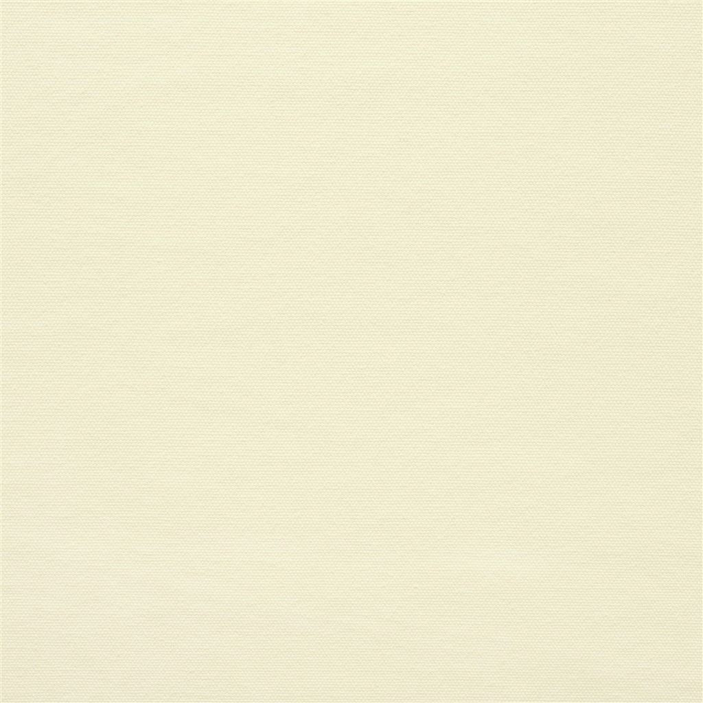 Canvas - Cream