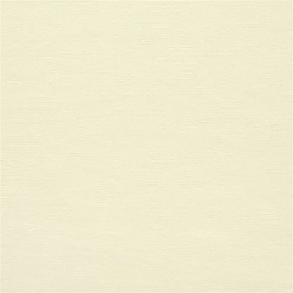 Canvas - Cream