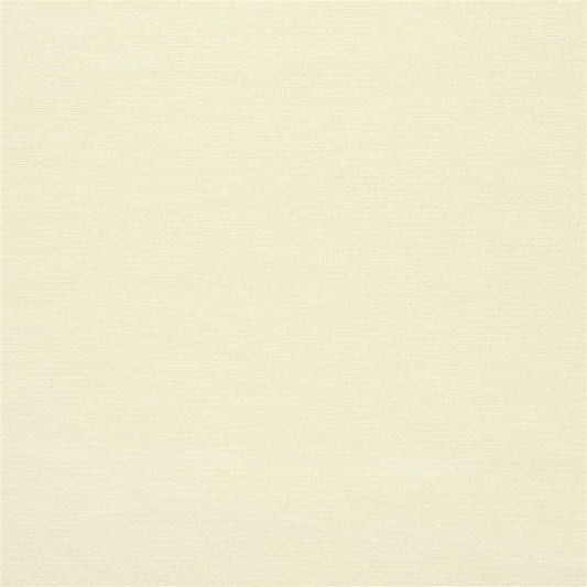Canvas - Cream