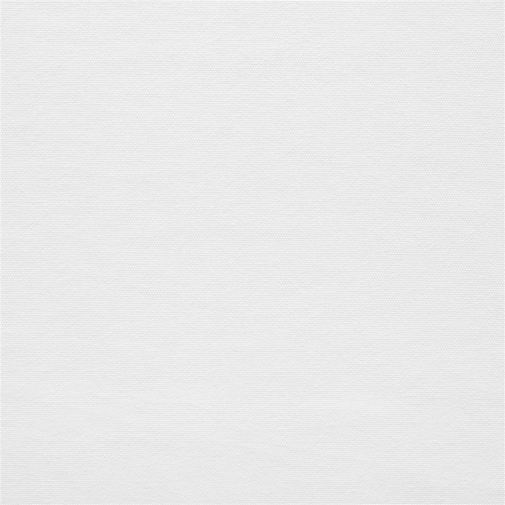 Canvas - Ivory
